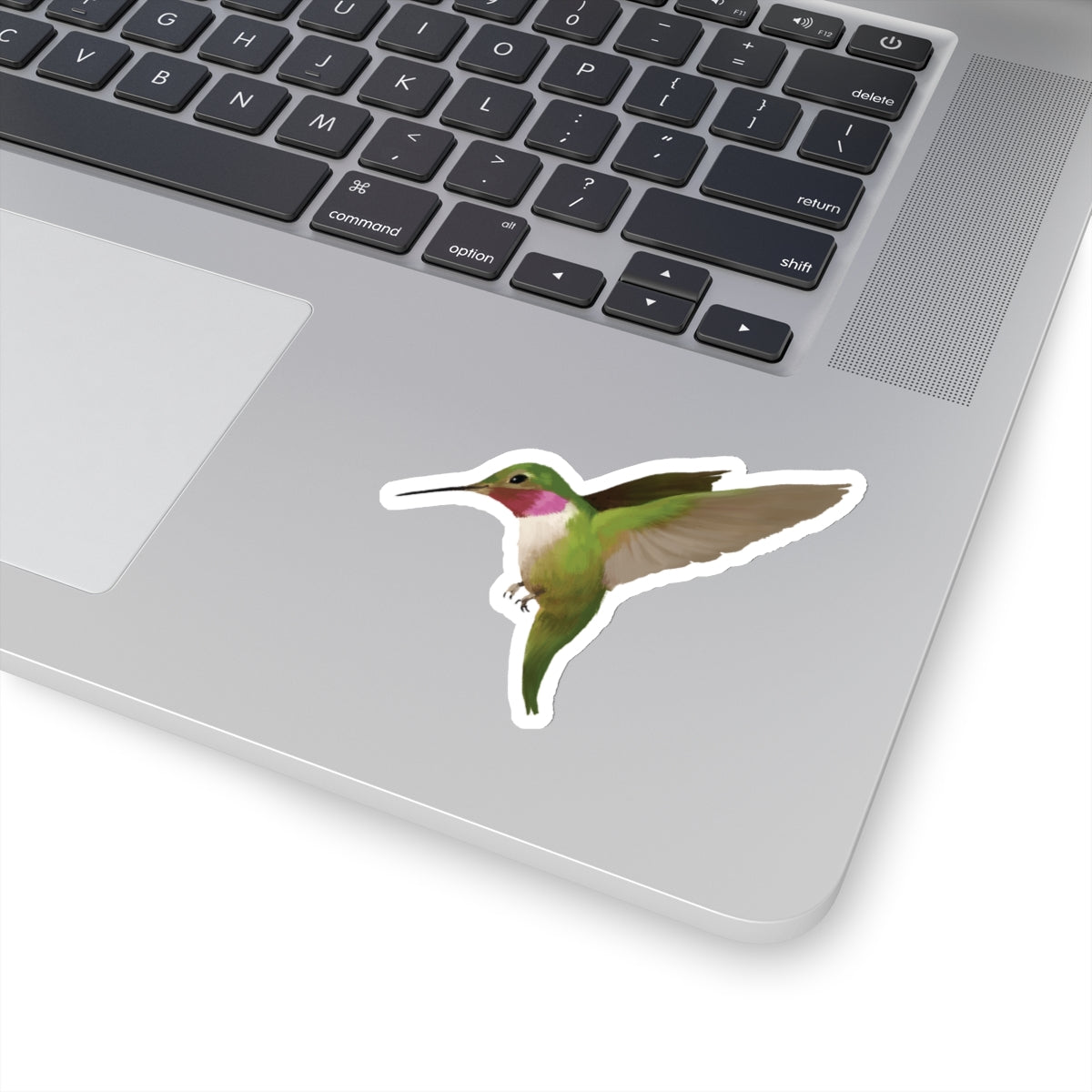 Humming Bird Kiss Cut Sticker