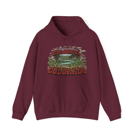 Colorful Colorado-Unisex Hoodie