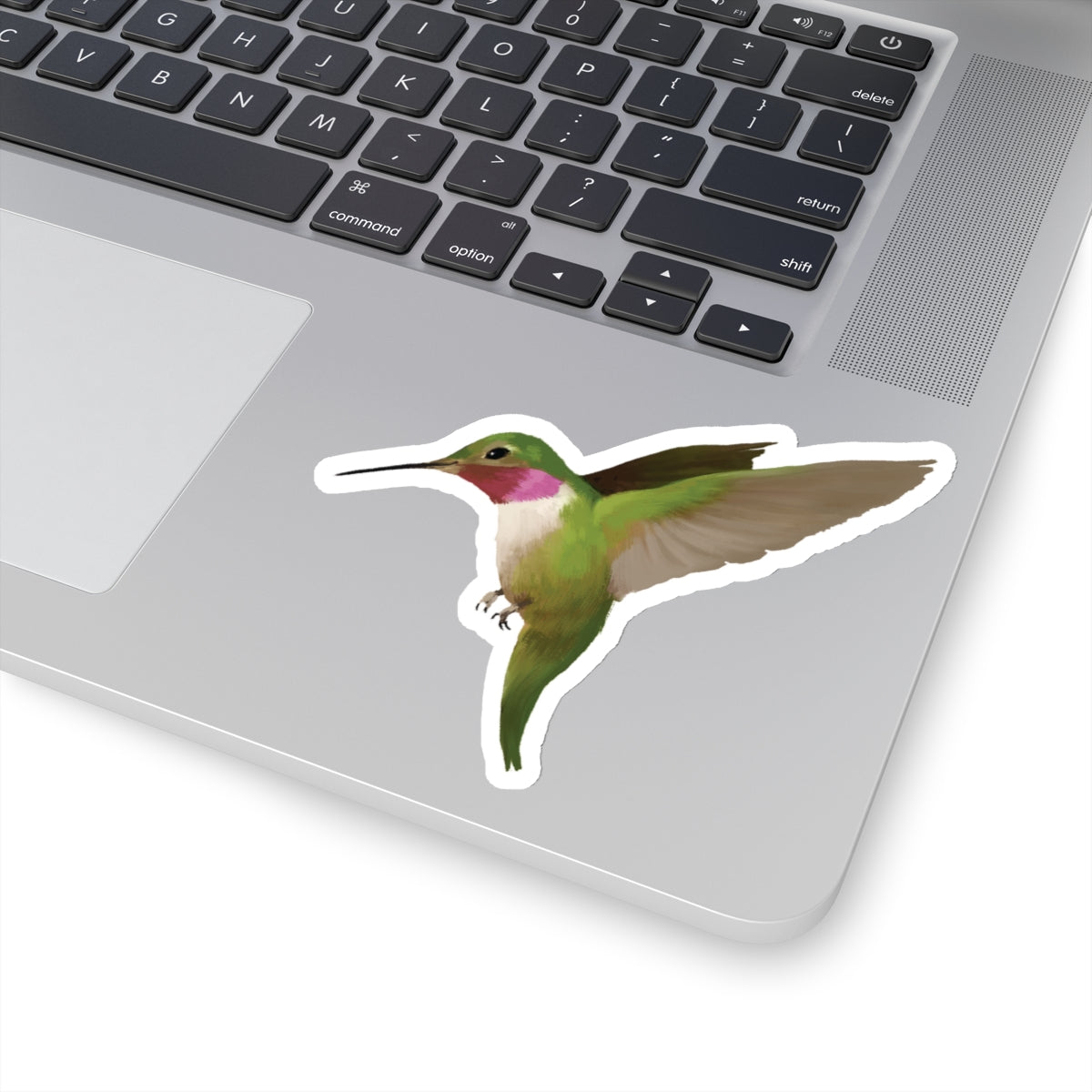 Humming Bird Kiss Cut Sticker